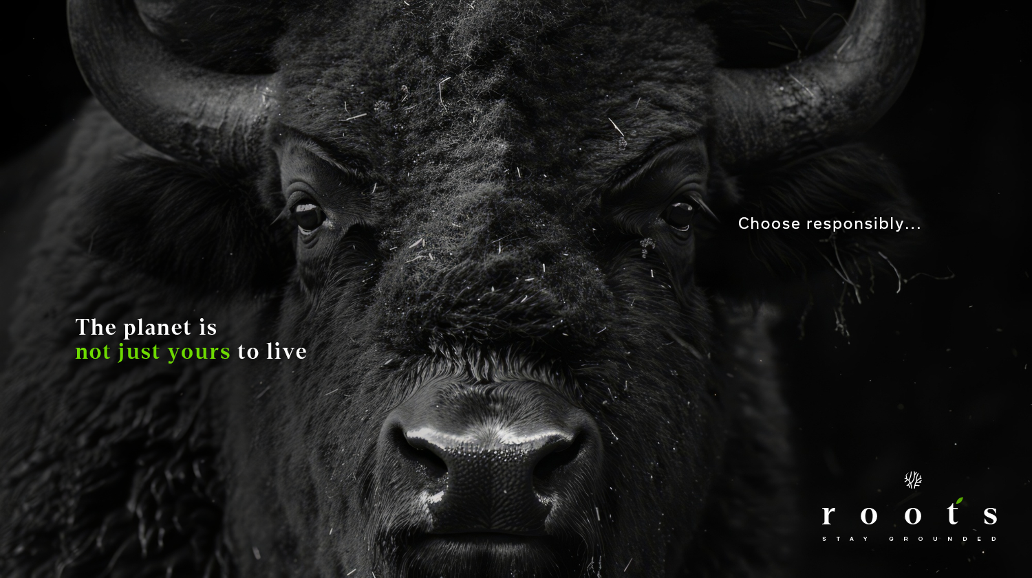 Graphic design work sample